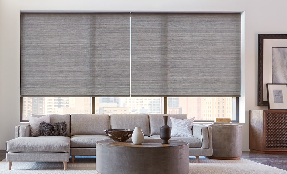 Sleek roller shades filtering in light into a beautiful apartment living room.
